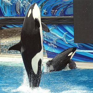 Jun. 2015 - One Ocean - Corky and Ikaika