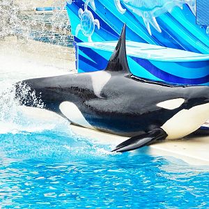 Jun. 2015 - One Ocean - Nakai