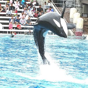 Jun. 2015 - One Ocean - Nakai