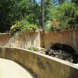 Tiny Grottoes (Raccoon + African Crested Porcupine)