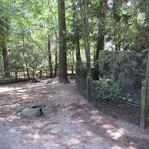 Galapagos Tortoise Exhibit