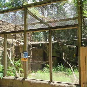 Clouded Leopard Exhibit