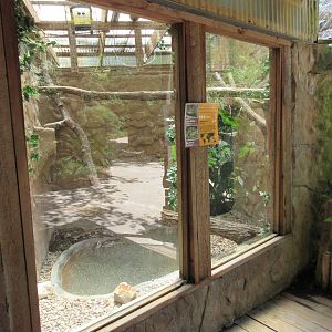 Reticulated Python/Burmese Python Exhibit