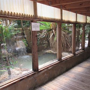 Siamese Crocodile Exhibit