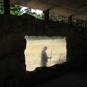 Nile Hippo Exhibit - closed for renovations