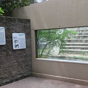 Jaguar Exhibit