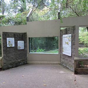 Amur Tiger Exhibit