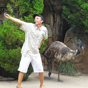 Jul. 2015 - Bob and the Giant Chicken