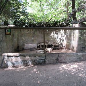 North American River Otter Exhibit - terrible!