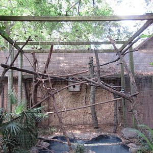 Cotton-Top Tamarin/Two-Toed Sloth Exhibit