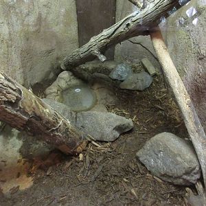 Echidna Exhibit