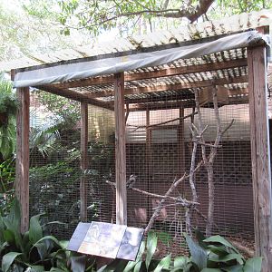 Kookaburra Exhibit