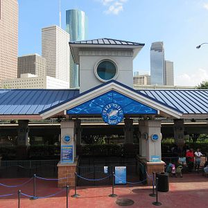 Train Station (train runs through the big shark tank)