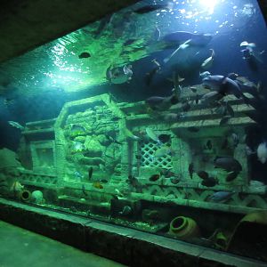 Temple Ruins Exhibit - highly impressive!