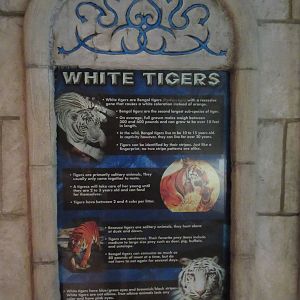White Tiger Exhibit - Sign