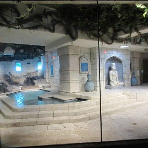 White Tiger Exhibit