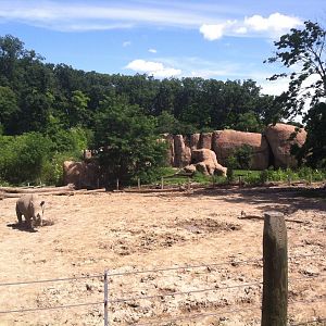 Rhino/Zebra Exhibit