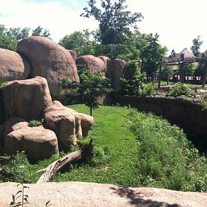 Lion Exhibit