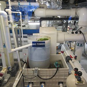 Aquarium Pyramid - Filtration Window