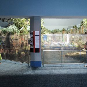 Aquarium Pyramid - California Sea Lion/Harbour Seal/Northern Fur Seal Exhib