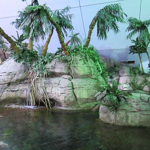 Aquarium Pyramid - Stingray/Mangrove Forest Exhibit