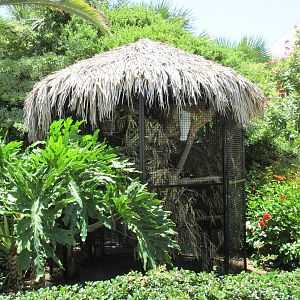 Umbrella Cockatoo/Blue and Yellow Macaw Exhibit