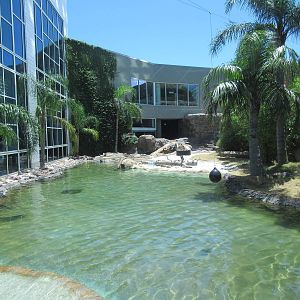 Rainforest Pyramid - Giant River Otter Exhibit - enormous!