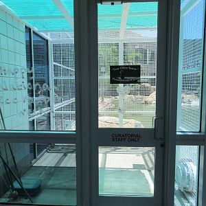 Rainforest Pyramid - Giant River Otter Exhibit - training area