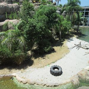 Rainforest Pyramid - Giant River Otter Exhibit - enormous!