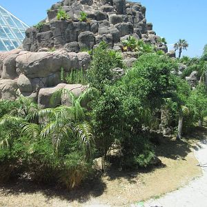 Rainforest Pyramid - Giant River Otter Exhibit - enormous!