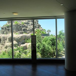 Rainforest Pyramid - Giant River Otter Exhibit - enormous!