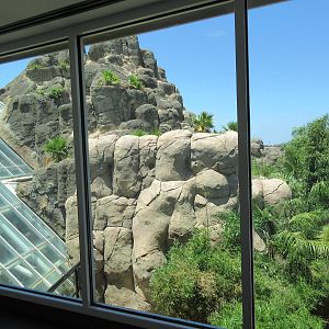 Rainforest Pyramid - Giant River Otter Exhibit - enormous!