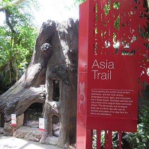 Rainforest Pyramid - Asia Trail Sign