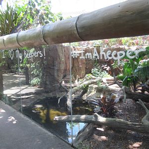 Rainforest Pyramid - Komodo Dragon Exhibit