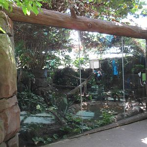 Rainforest Pyramid - Ocelot Exhibit