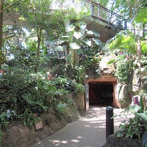 Rainforest Pyramid - Visitor Pathway