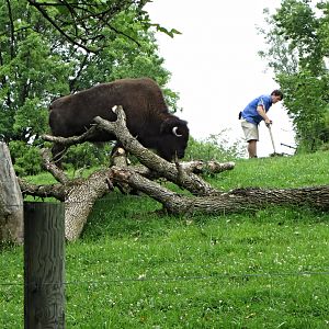 Precarious Position?