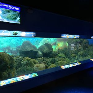 Flower Garden Exhibit