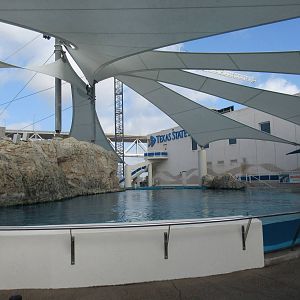 Bottlenose Dolphin Exhibit