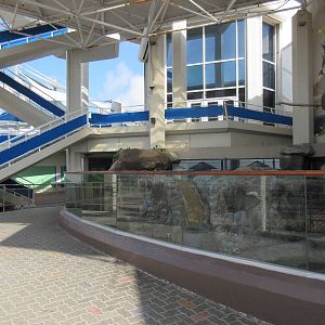 North American River Otter Exhibit