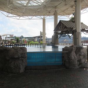 Sea Turtle Pools (4 Species)