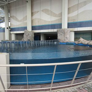 Sea Turtle Pools (4 Species)