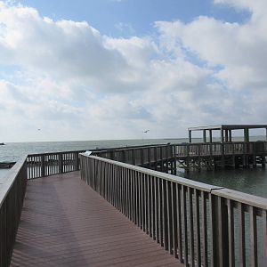 Aquarium Pier (with lots of wild sea birds around)