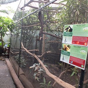 Enclosure for Red-billed Toucans and Azara's Agouti