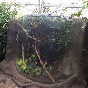 Pygmy Marmoset Enclosure