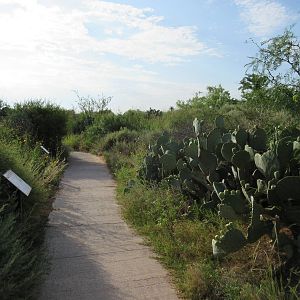Visitor Pathway - a real highlight of this great zoo