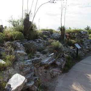 Gypsum rock along pathway