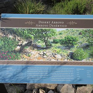 Desert Arroyo Sign