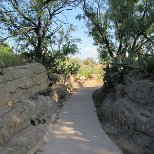 Visitor Pathway
