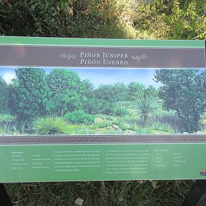 Pinon Juniper Sign